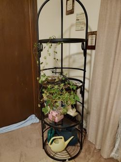 Beautiful Plant Rack