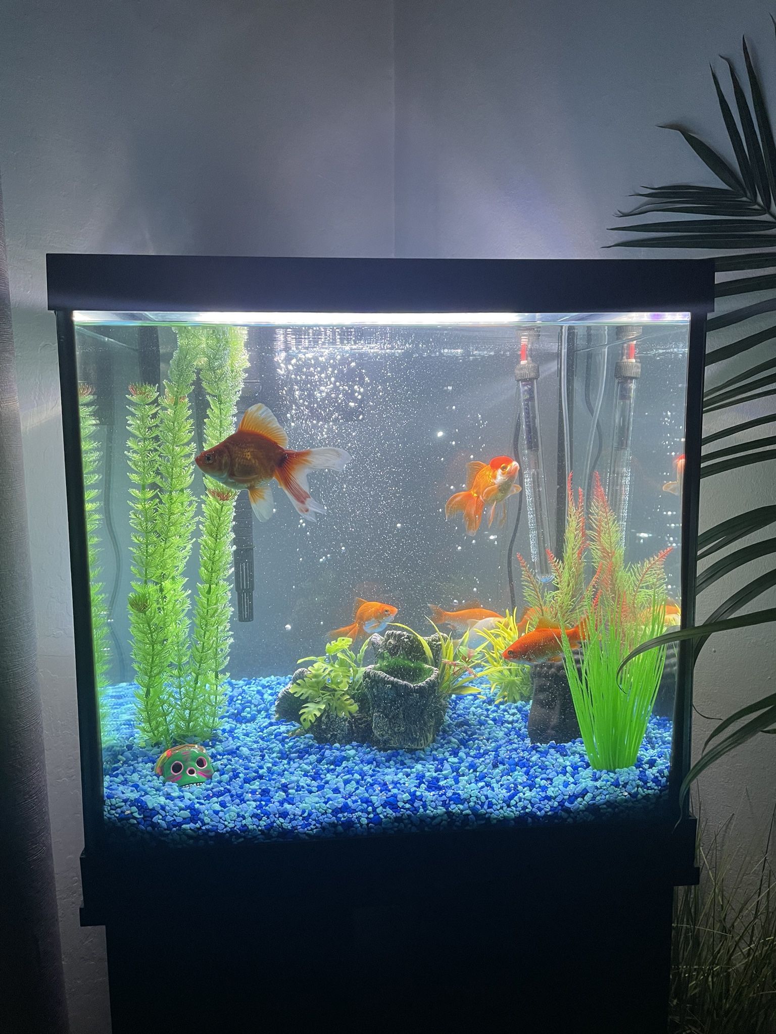 50 Gallon Fish Tank. No Fish Only Complete Tank. 