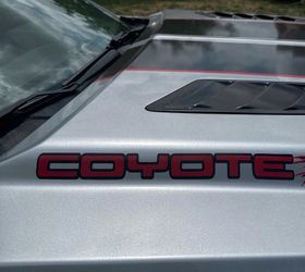 Mustang GT 2-Tone Coyote Decal (Pair)