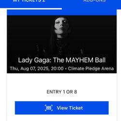 Lady Gaga Tour Ticket