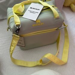 Stanley mini cooler