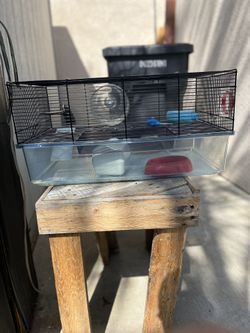 Hamster Cage