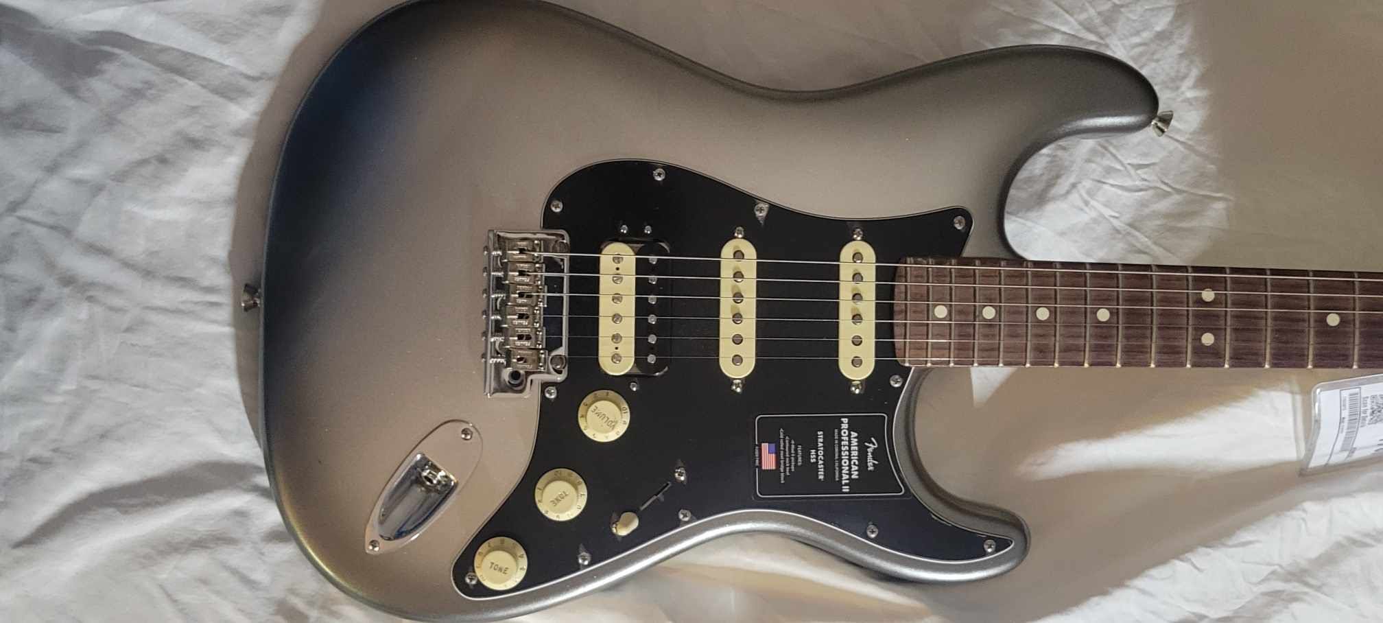 Electric Guitar