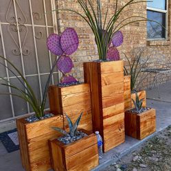 Plants With Planters 