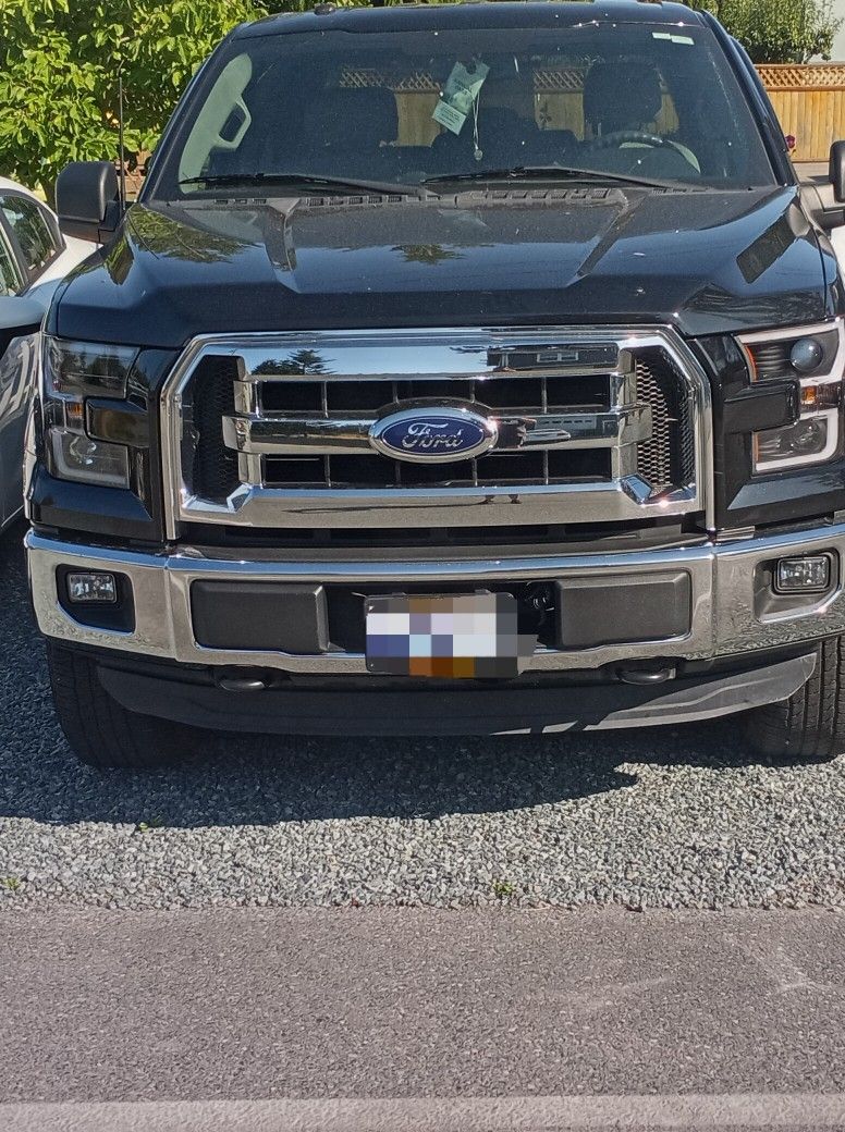 2016 Ford F150 Grille