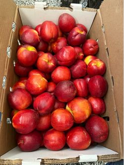 Nectarine amarillo