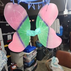 Wings