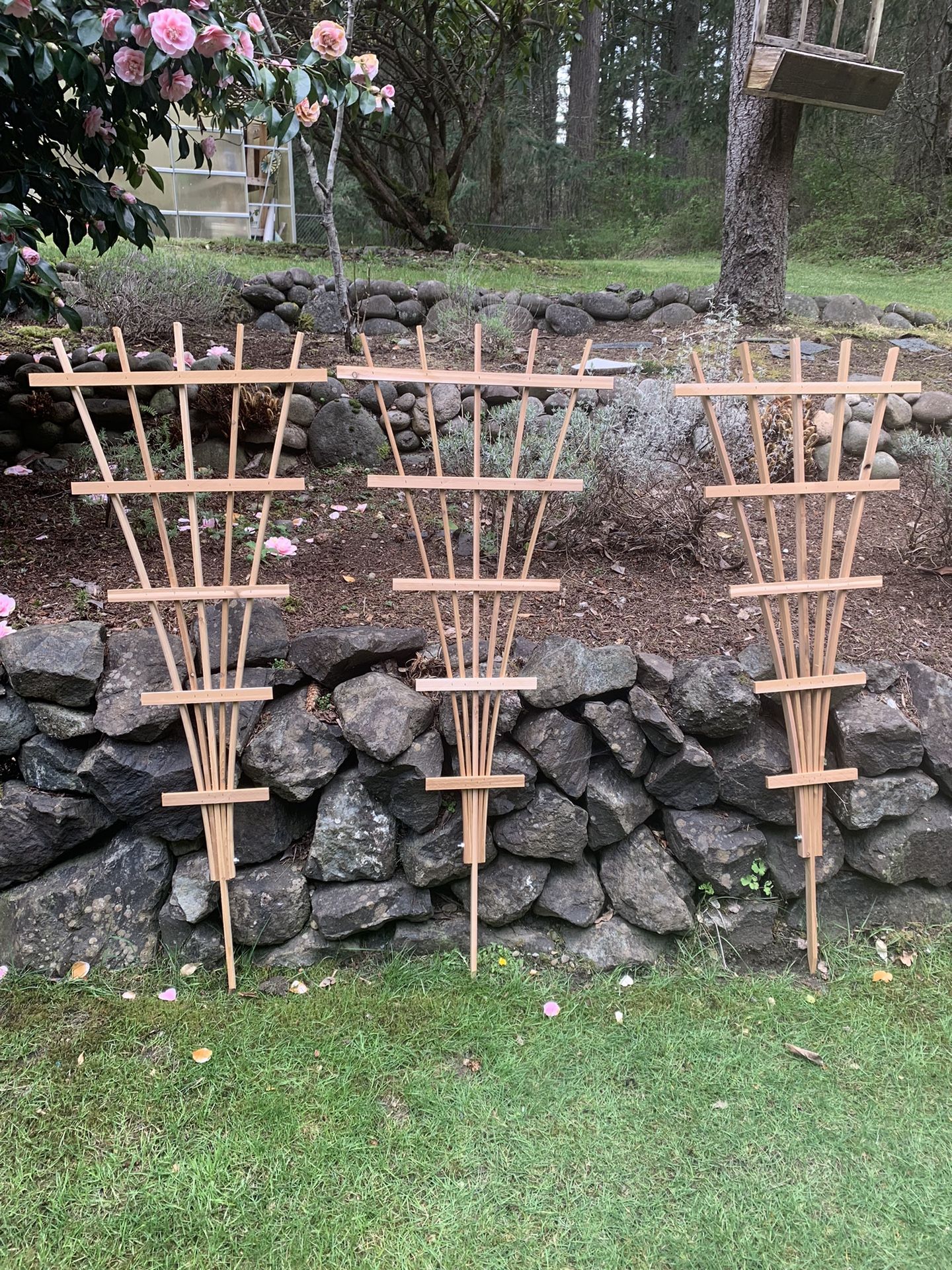 Small Cedar Trellis 