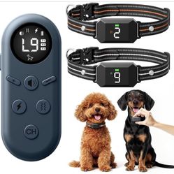 Small Shock Collar Small Dogs 