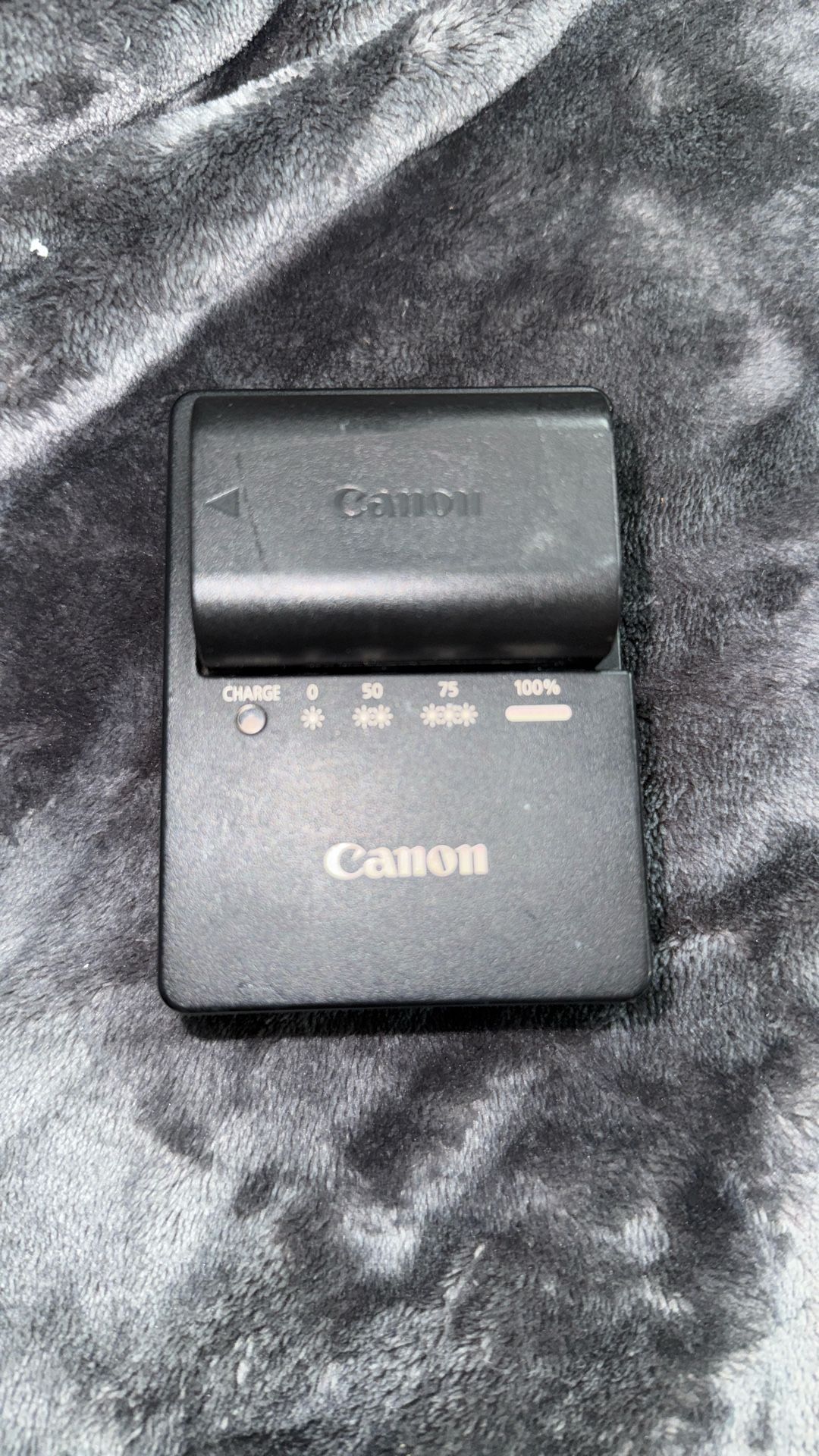 Canon LC-E6 Charger & Battery