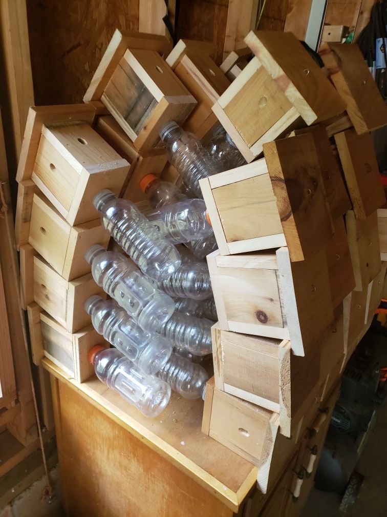 Bee traps