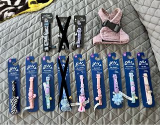 Cat Accessories