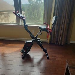 Indoor Upright Stationary Exercise Bike