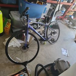 Diamandback Insight 2 Disc