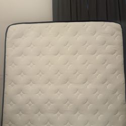 Queen Mattress