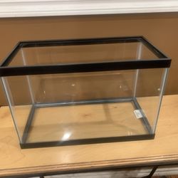 Fish Tank