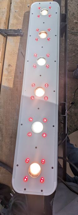 Led Grow Lights Cobb