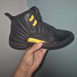 Jordan 12s