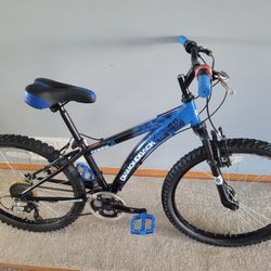 Diamondback Cobra 25 Inch Mountain Bike 