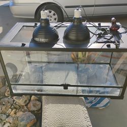 Reptile Tank And Heat Lamps