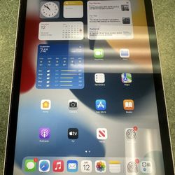 Ipad Air 4 Rose Gold 