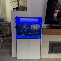 Fiji  Cube 81 Saltwater Aquarium 