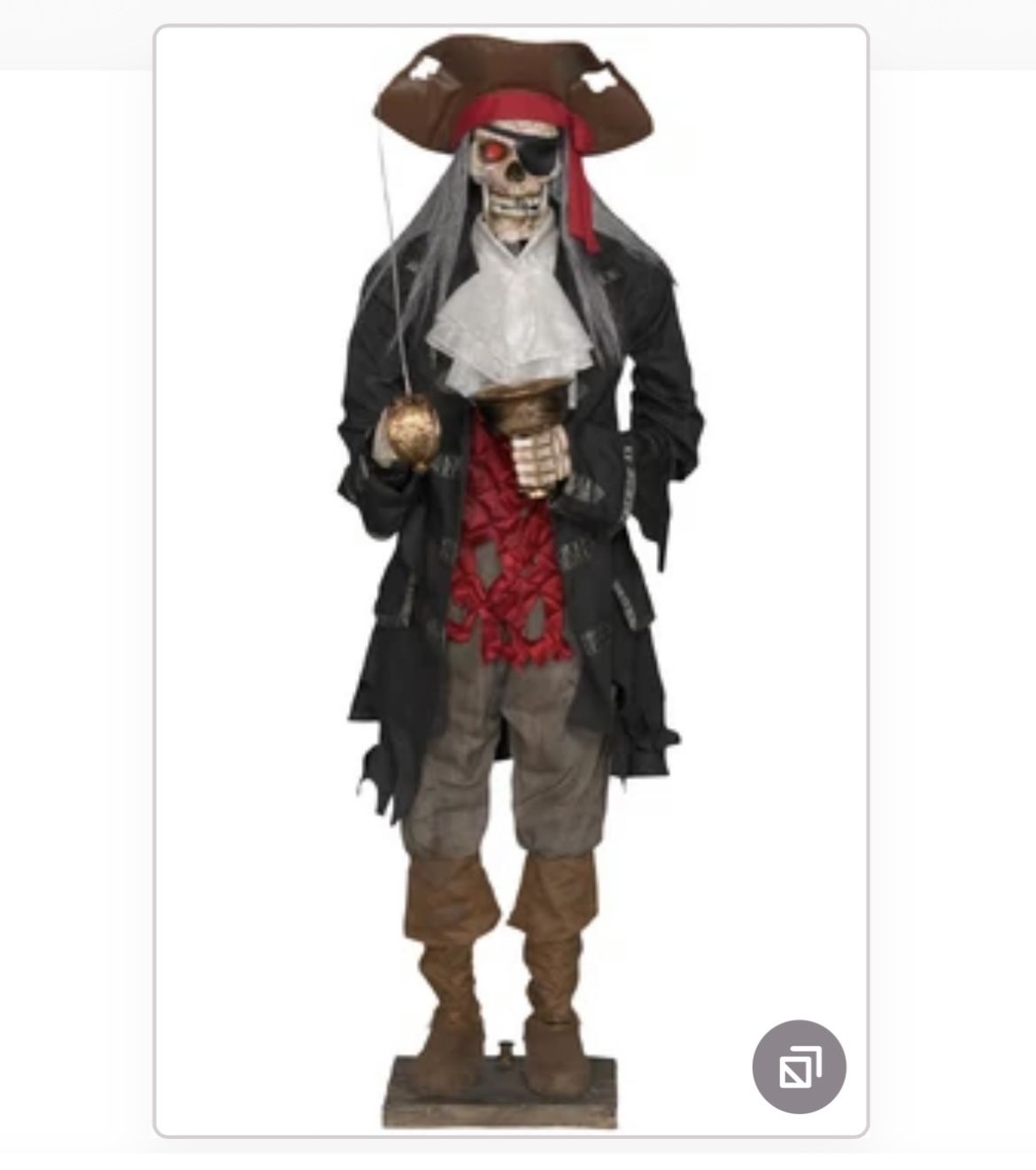 Spirit Halloween Gemmy Dead Eye Drake Pirate Skeleton Prop