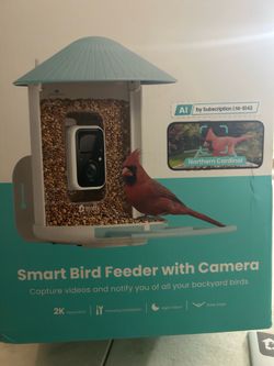 Bird feeder with camera