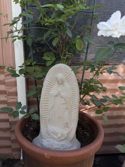 Virgen de Guadalupe