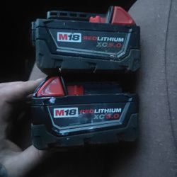 Milwaukee M18 RedLithium XC5.0 5 Ah Lithium-Ion Extended Capacity Battery Pack 2 pc