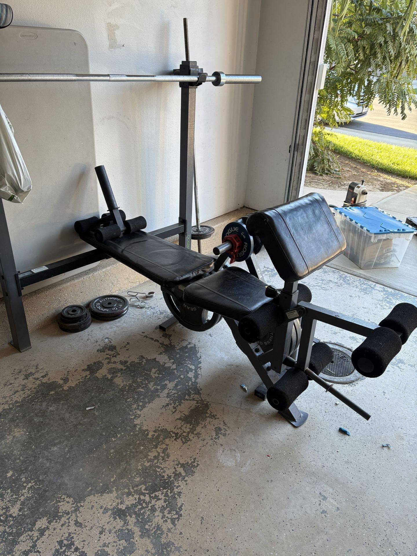 Full Size Weight Bench + Weights