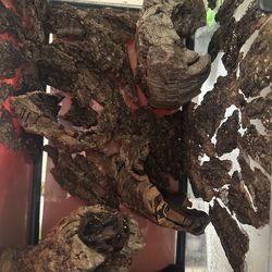 10 gallon converted reptile tank