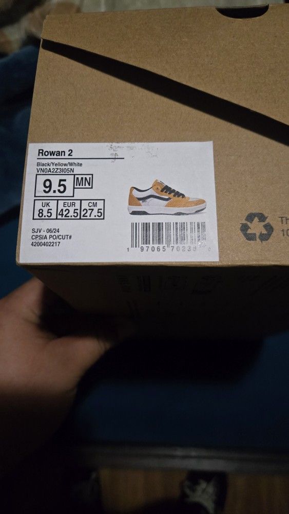 Vans Shoes