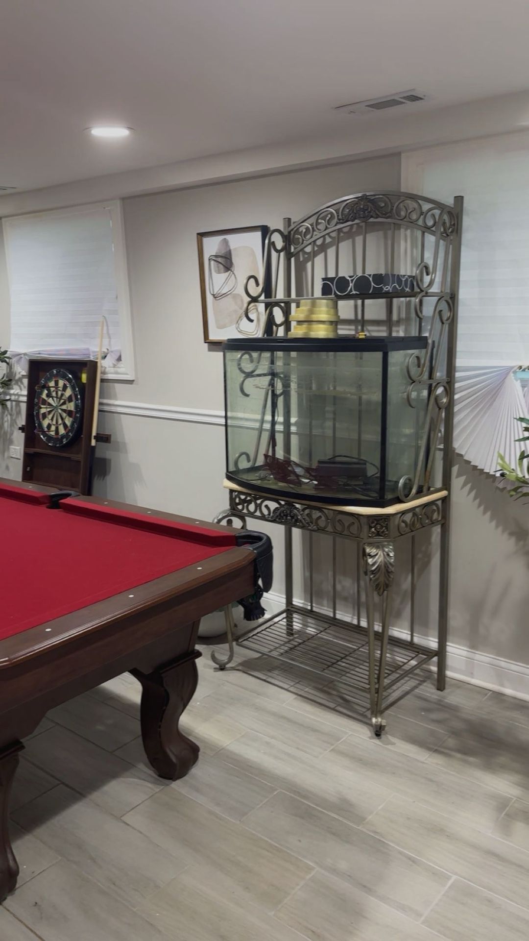 Bow Front Fish Tank
