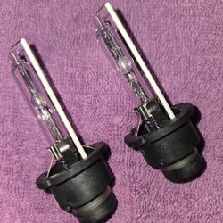 HID Bulbs
