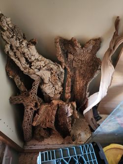 Reptile decor