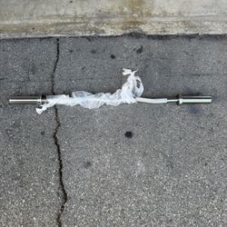 Olympic Curl Bar