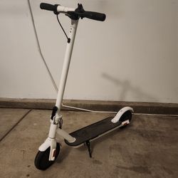 Folding Electric Scooter 