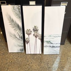 Canvass Prints 