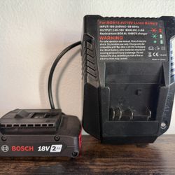 BOSCH Battery, charger