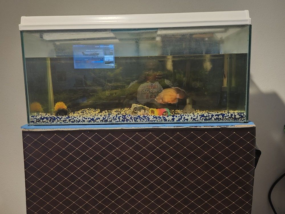 100 Gallon Fish AQUARIUM