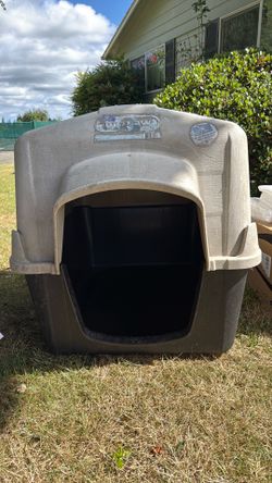 Big dog house