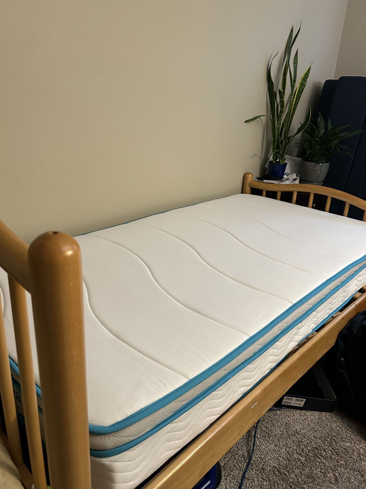 Twin Mattress And Pine Log Bed Frame