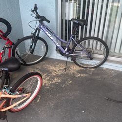 24 Hinches Ladys Bike Ready Togo