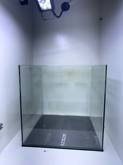 6gal cube tank