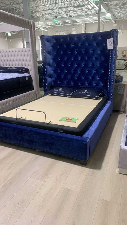 OM• $38 Initial • Brand New Blue Bed Frame