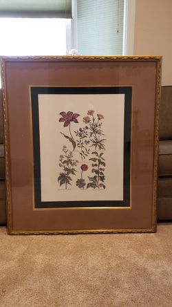 Beautiful  Botannical Print In Frame