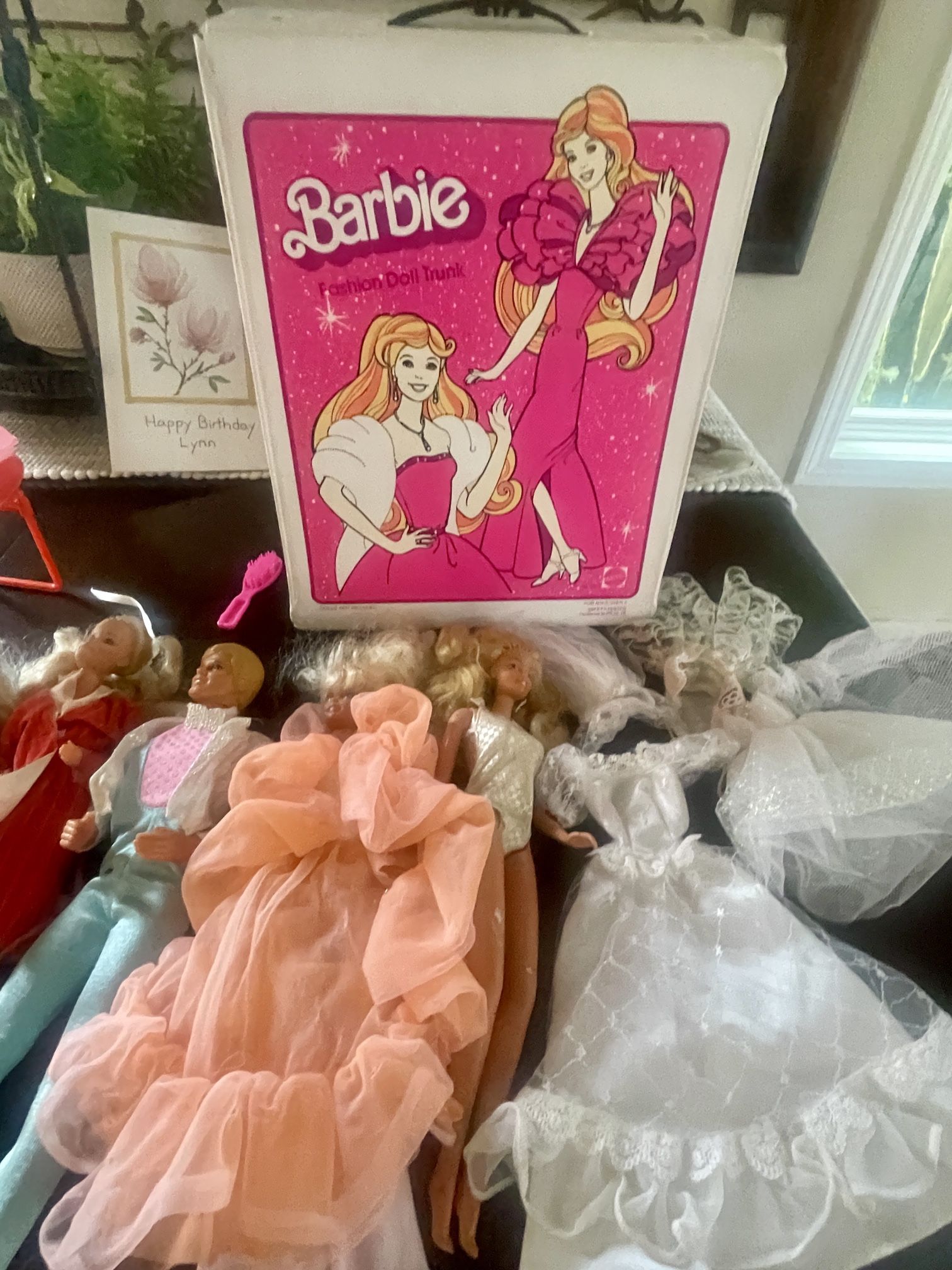 Complete Barbie Set