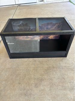 Lizard tank + supplies
