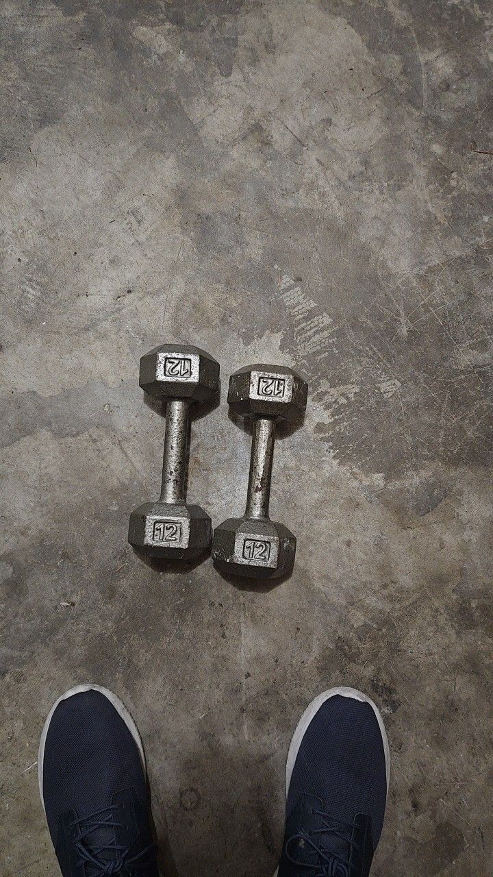 12 Lb Dumbbells 